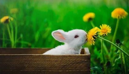 hth最新入口-【交易评级】太阳加速崛起获B+ 雷霆继续投资A